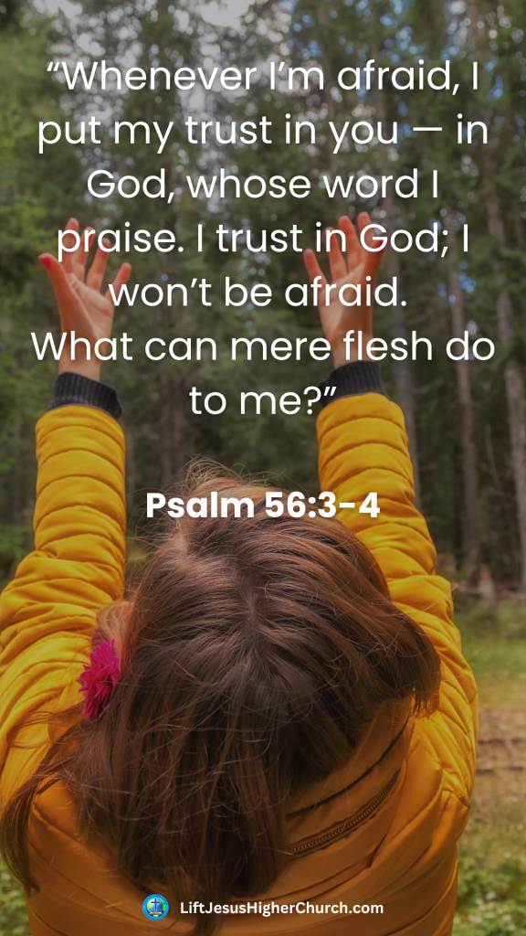 “Whenever I’m afraid, I put my trust in you — in God, whose word I praise. I trust in God; I won’t be afraid. 
What can mere flesh do to me?”